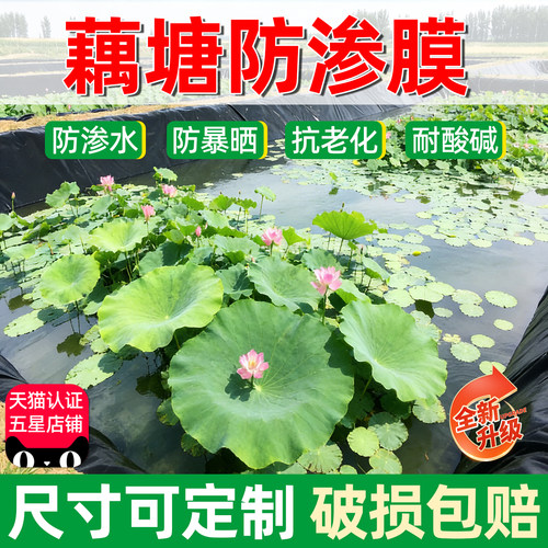 仁禾青防渗膜土工膜