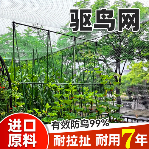 驱鸟网防鸟网农用果园蔬菜防鸟丝网小网眼防小鸟葡萄嘉宝果树网罩