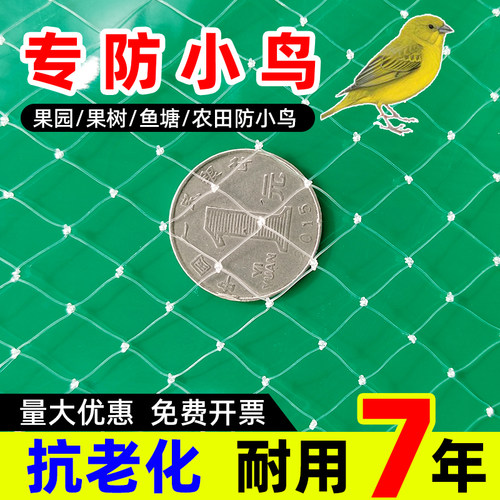 防小鸟的网蔬菜种植大棚防鸟网