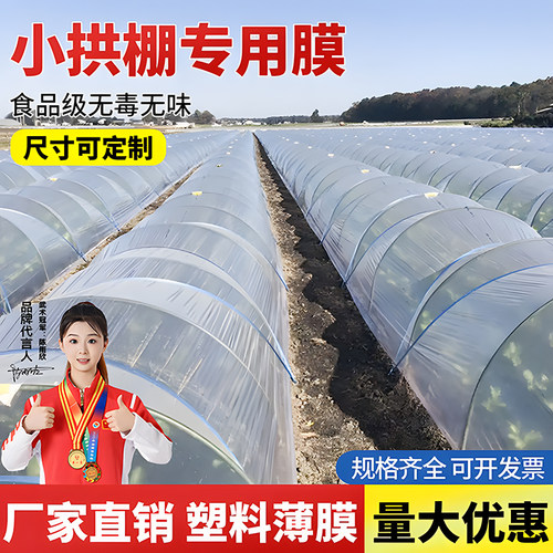 小拱棚专用棚膜小拱棚薄膜地膜