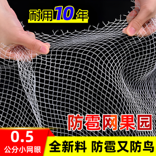 防雹网果园树葡萄网樱桃防鸟网农田汽车防雹网厂家直销挡冰雹防护