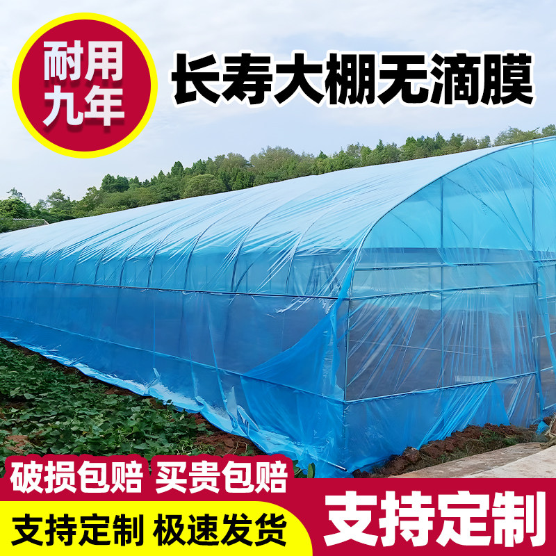 大棚塑料膜无滴膜蓝色透明加厚长寿耐用抗老化薄膜种植专用保温膜