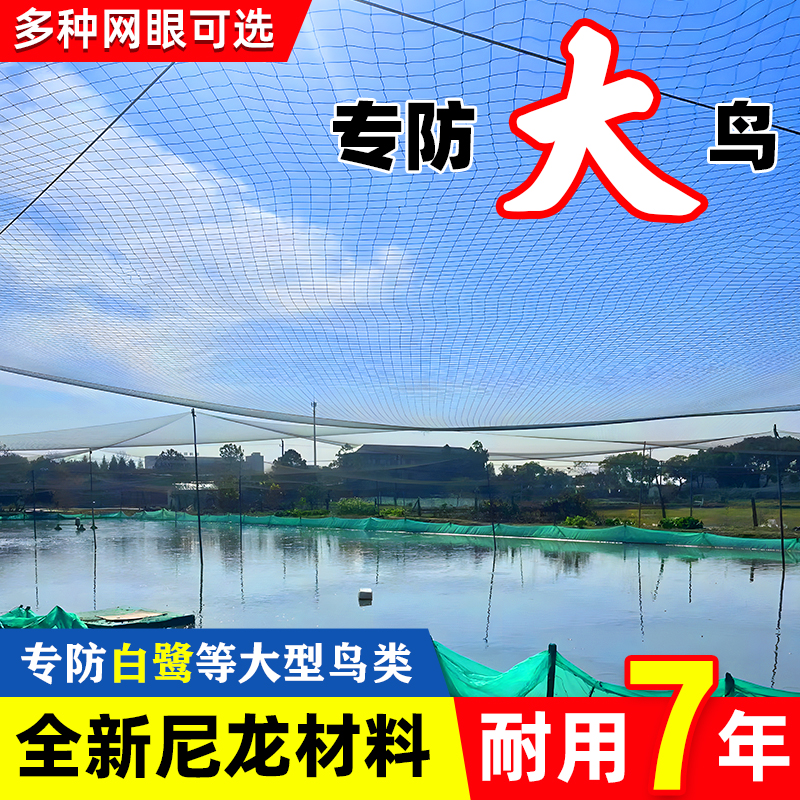 防鸟网大孔果园果树专用樱桃水果西红柿尼龙线鱼塘大网袋防乌神器