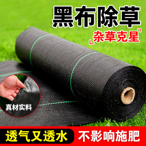 黑布除草防草布加厚农用塑料大棚园艺地布种植遮草抑草布出口品质