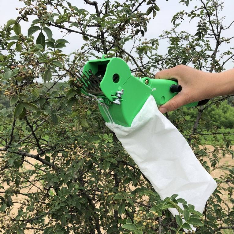 新品摘花椒神器电动花椒采摘器摘花椒专用神器电动摘花椒机器电动