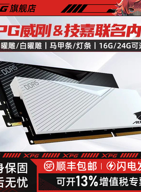 威刚XPG威龙D500马甲内存DDR5技嘉联名16G台式电脑低时序特挑颗粒