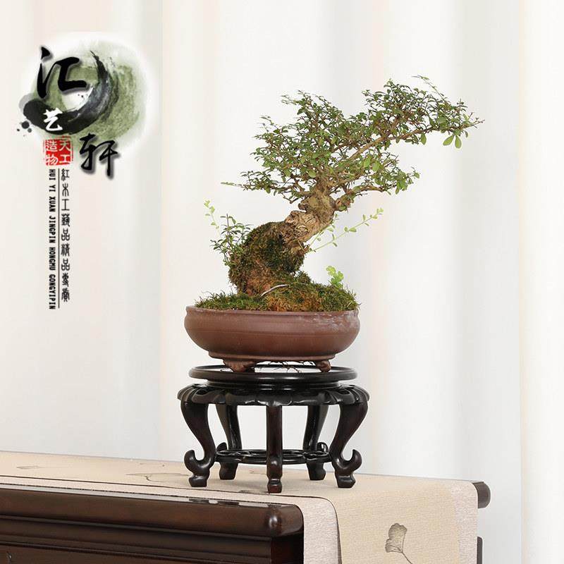 实木圆形红酸枝花瓶盆景茶壶香炉摆件底座新中式酒瓶展示加高木托,家居饰品,木雕,淘宝优惠券,粉丝福利购,淘宝优惠卷