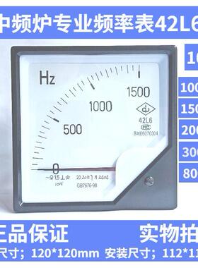 中频炉专用频率表赫兹表42L6-2000 1500 3000 4000 8000HZ/100V