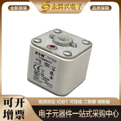 适用快速熔断器保险丝170M4392/4393/4394/4395/4396/4397/5388