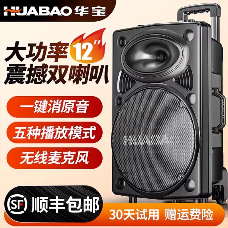 场舞音响户外移动拉杆k歌蓝牙音箱带无线话筒手提店铺专用华宝广