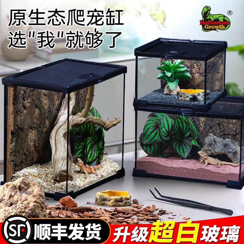 BG玻璃缸爬宠饲养箱鬃狮蜥蜴角蛙蜘蛛守宫饲养盒生态雨林造景爬虫