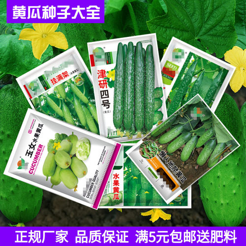 水果青瓤地爬旱黄瓜豆角春秋绿苦瓜西瓜甜瓜丝瓜南瓜冬瓜种籽子孑