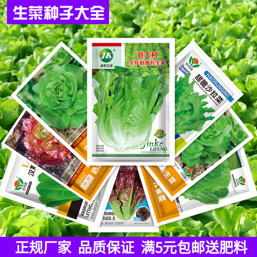 四季速生蔬菜易种植生菜种子大全