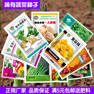 黄菇娘果芦笋薄荷地中海根芹辣椒生冰菜籽盆栽番茄菜蔬菜种子孑土