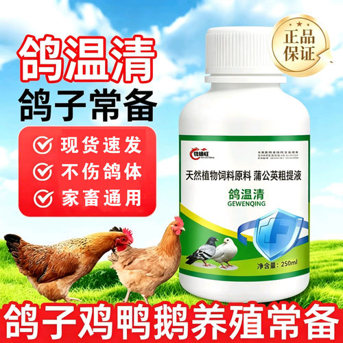 鸽子专用鸽温清鸡鸭鹅养鸡缩头呆立禽类养殖鸡鸭鹅常备