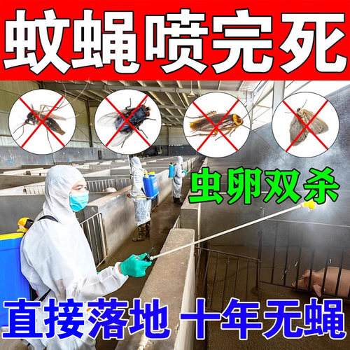 苍蝇药【速灭苍蝇】一扫光厨房饭店养殖场高效灭蝇王无毒无味饵料