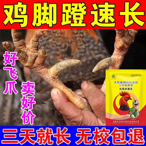鸡用长脚钉王脚蹬飞爪促生长鸡催肥防啄羽鸡蹬子爪王补钙养鸡专用