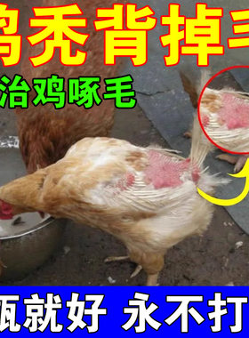 鸡掉毛专用药专管鸡啄肛药防啄毛打架啄羽互啄补充营养止啄止咬灵
