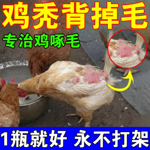 鸡掉毛专用药专管鸡啄肛药防啄毛打架啄羽互啄补充营养止啄止咬灵