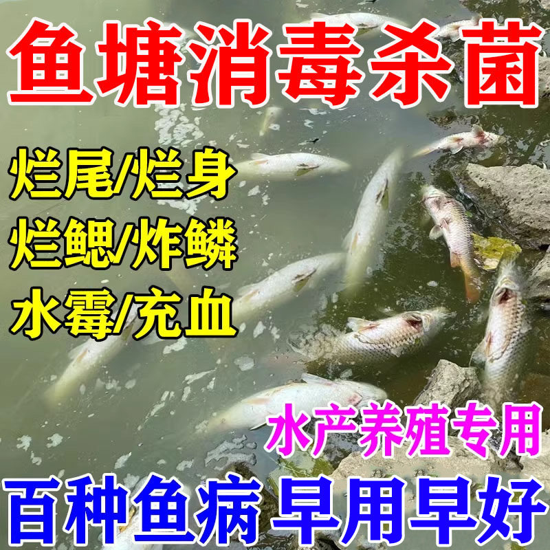 水产养殖专用药鱼塘鱼烂身烂尾炸鳞白点病消毒杀菌水霉病专用鱼药