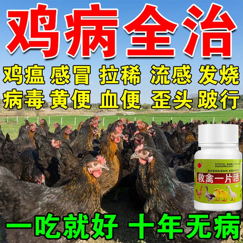 鸡特效养鸡专用鸡药大全特效禽药救命丹鸡药感黄白痢绿便冒