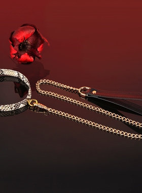 轻奢蛇纹皮质朋克金色圆环项圈