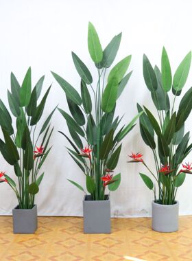 仿真绿植天堂鸟盆栽室内装饰仿真植物美人蕉盆景家居鹤望兰摆件