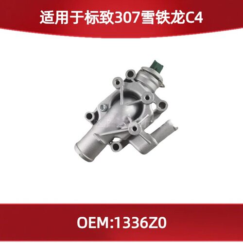 标致307/雪铁龙C416V出水室