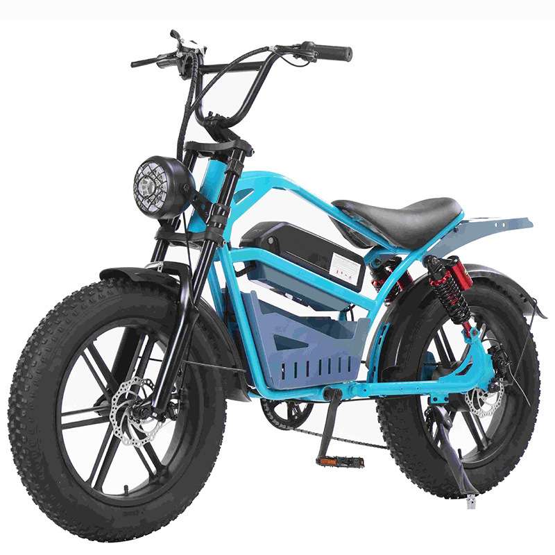 20寸双层轮毂雪地自行车置物筐设计方便携带出行电动自行车