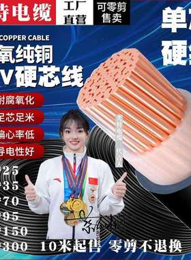 国标硬线ZRC-YJV阻燃单芯铜电缆线95/120/150/185/240/300平方400