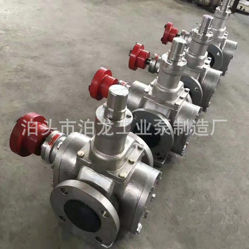 泊头大流量不锈钢圆弧齿轮泵