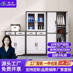 文件柜办公室铁皮资料柜财务凭证柜铁门更衣柜带锁员工宿舍储物柜