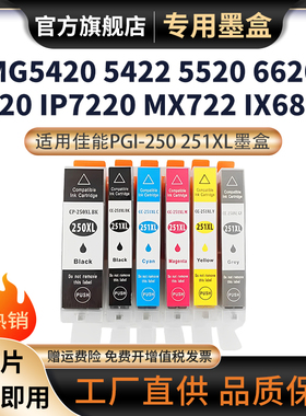 适用佳能PGI-250 251XL墨盒MG5420 MG5422 MG5520 MG6320 6420 7520 IP7220 IP8720 MX722 IX6820打印机墨盒