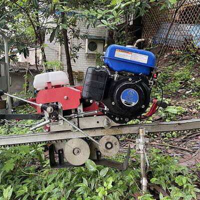 轨果园运输车 拉水果蔬菜小猪崽基建工具 面轨道货车 运送物