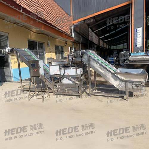 全自动不锈钢离心式脱水机 多功能蔬菜甩干机 商用脱水流水线