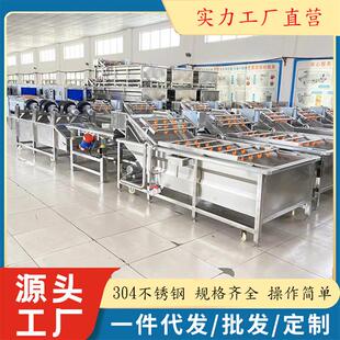全自动金钱莲玉竹清洗机 现货益母草清洗机 百合枫斗气泡清洗设备