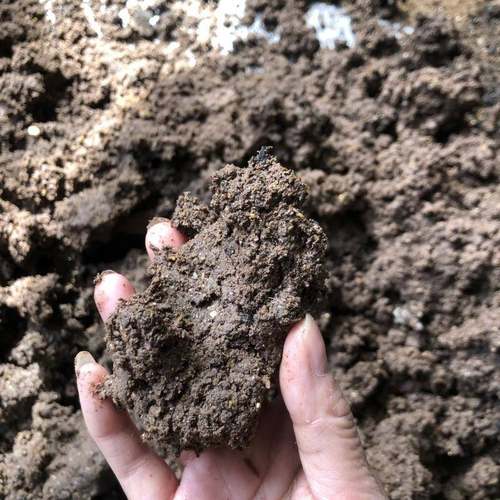 有机肥粉土机 花卉污泥土育秧育苗黏土粉碎机 高湿蛋白桑打浆机