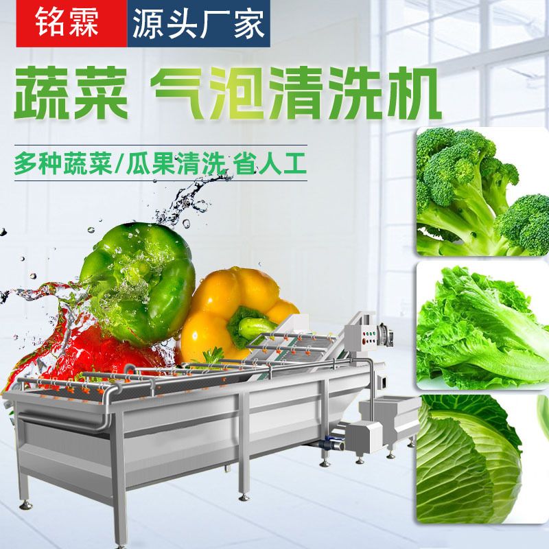 西蓝花生菜清洗机 全自动橄榄清洗机设备 不锈钢果蔬清洗流水线