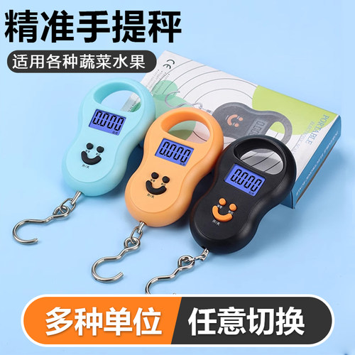 手提电子秤高精度便携式小型家用随身迷你带勾称手提电子弹簧秤66