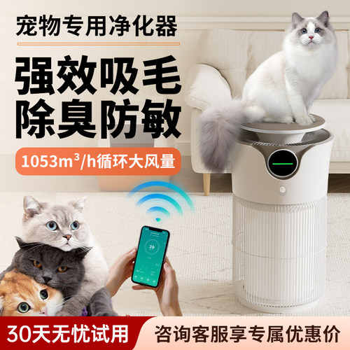 蓝主角宠物空气净化器吸猫毛浮毛除臭狗狗去异味除过敏源杀菌消毒