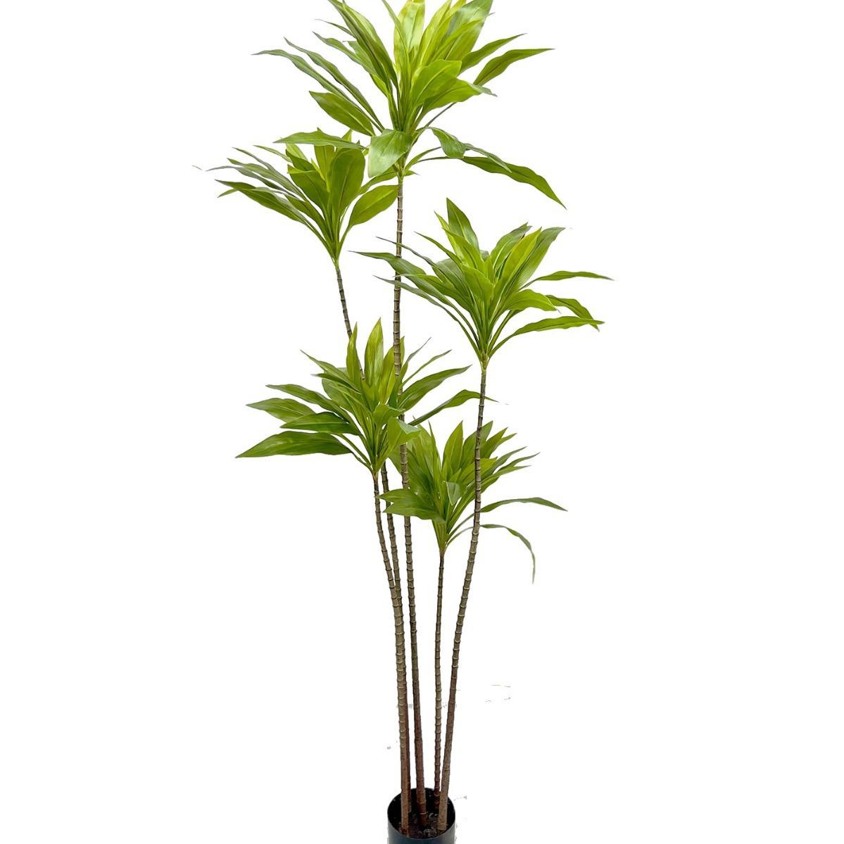 商场服装店仿真植物造景组合朱蕉红铁树绿铁树假绿植落地景观软装