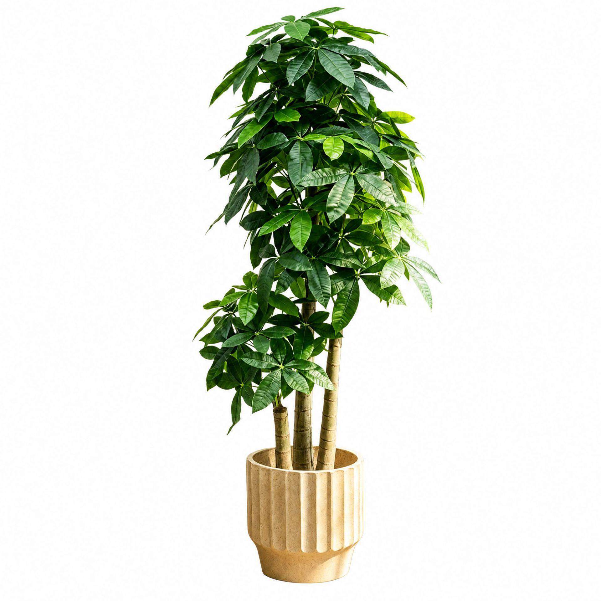 发财树招财仿真绿植客厅落地盆栽室内端轻奢仿生植物装饰假树