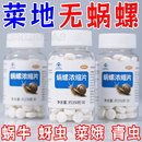 蜗牛专用家庭鼻涕虫果树蛞蝓福寿螺其它园艺用品 蜗螺净浓缩片正品
