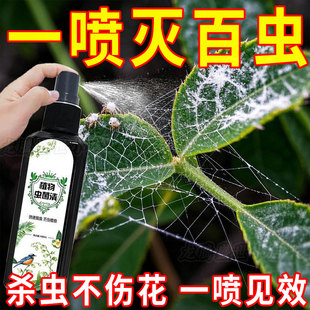 虫菌清灭虫神器一喷灭百虫植物虫菌清花卉杀虫剂室内植物杀虫剂