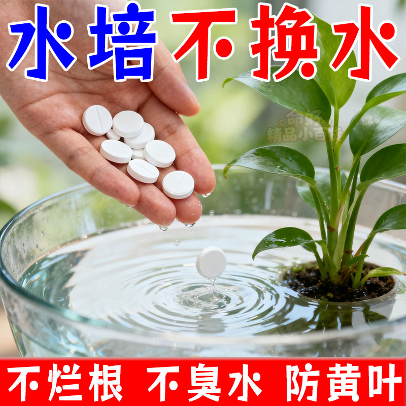 水培植物净水片鲜花花卉保鲜剂
