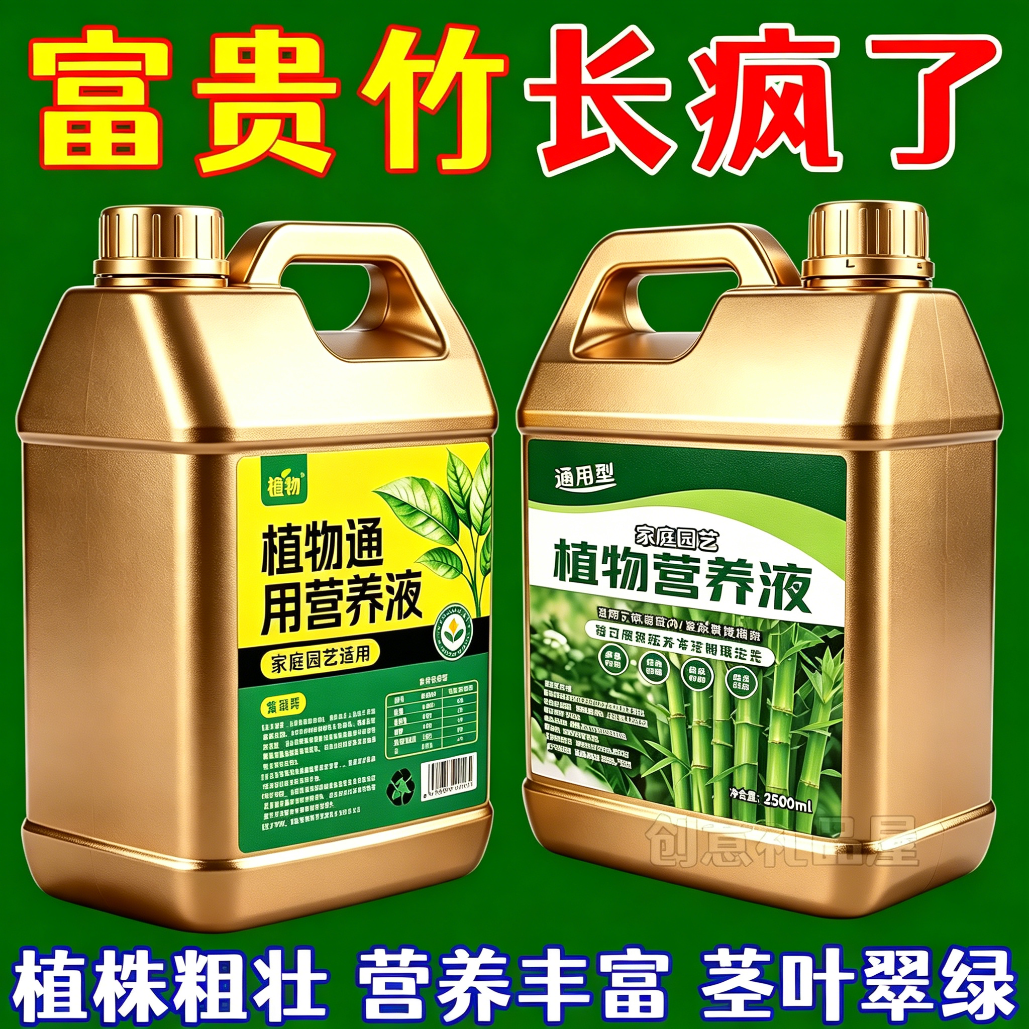 富贵竹专用营养液水培治黄叶促生根转运竹观音竹家用盆栽通用肥料