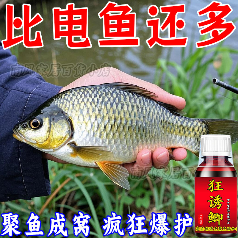 釣魚小藥正品狂誘鯽野釣黑坑鯽魚
