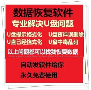 U盘写保护数据文件恢复修复修理优盘无法提示格式化丢失大师软件