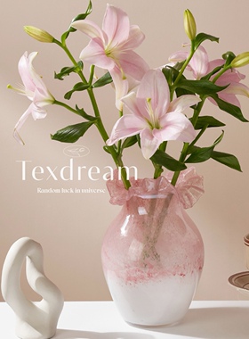 TEXDREAM织梦 粉色渐变花瓶中古高级感客厅插花水培鲜花琉璃摆件