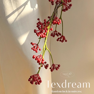 TEXDREAM织梦·青藤果复古红色系仿真绿植发财果客厅餐桌插花装饰